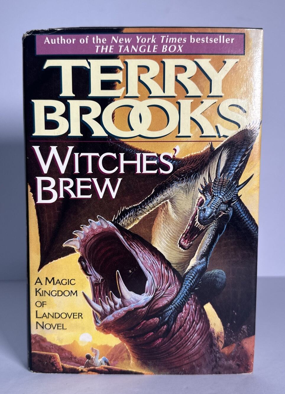 Witches' Brew by Terry Brooks 1st Edition 1st Print Magic Kingdom of Landover